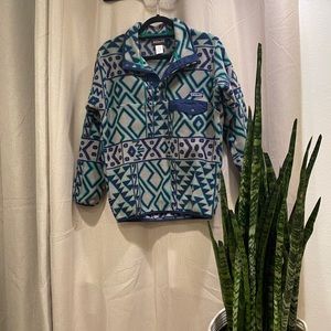Patagonia synchylla